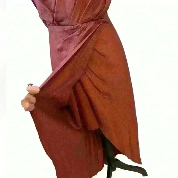 JOIE Tanika Dress in Tawny - Picture 6 of 15